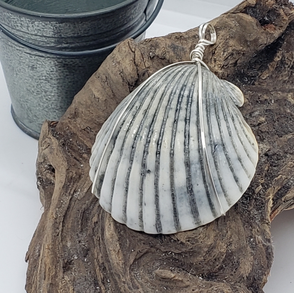 Wire Wrapped Scallop Shell Pendant - Picture 2 of 3
